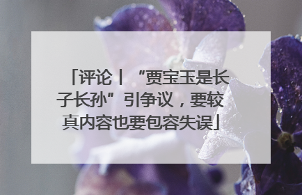 评论丨“贾宝玉是长子长孙”引争议，要较真内容也要包容失误