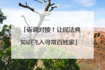 诉调对接！让民法典知识飞入寻常百姓家