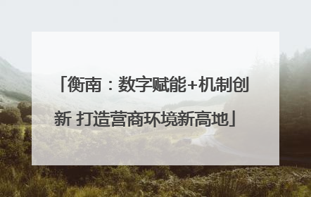 衡南：数字赋能+机制创新 打造营商环境新高地