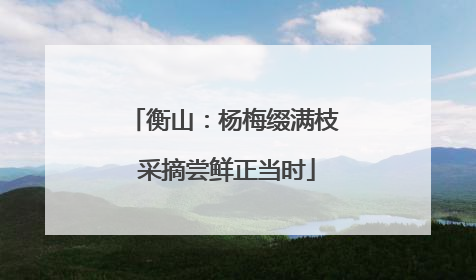 衡山：杨梅缀满枝 采摘尝鲜正当时