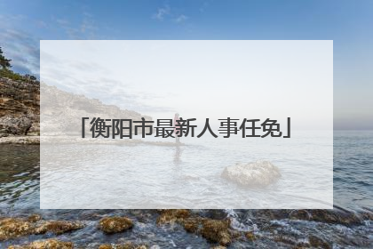 衡阳市最新人事任免
