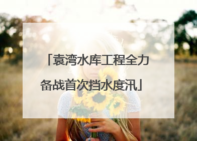 袁湾水库工程全力备战首次挡水度汛