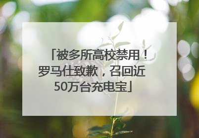 被多所高校禁用！罗马仕致歉，召回近50万台充电宝