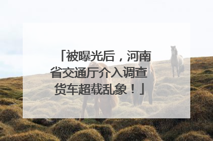 被曝光后，河南省交通厅介入调查货车超载乱象！