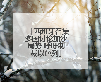 西班牙召集多国讨论加沙局势 呼吁制裁以色列