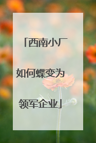 西南小厂如何蝶变为领军企业