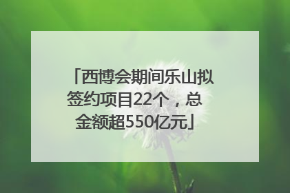 西博会期间乐山拟签约项目22个，总金额超550亿元