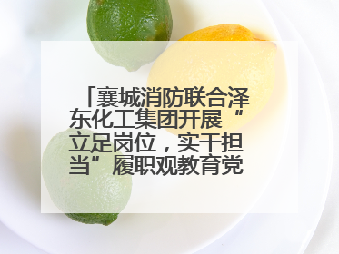 襄城消防联合泽东化工集团开展“立足岗位，实干担当”履职观教育党建联学活动
