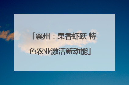 襄州：果香虾跃 特色农业激活新动能