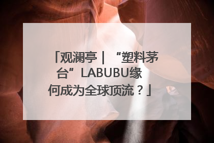 观澜亭｜“塑料茅台”LABUBU缘何成为全球顶流？