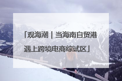 观海潮｜当海南自贸港遇上跨境电商综试区