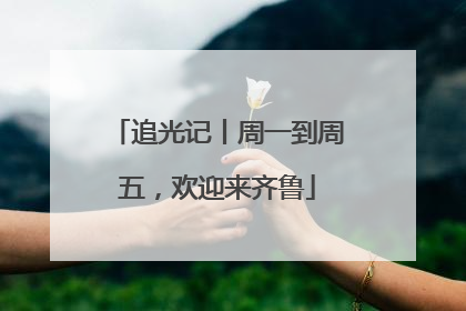 追光记丨周一到周五，欢迎来齐鲁