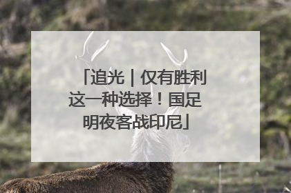 追光｜仅有胜利这一种选择！国足明夜客战印尼