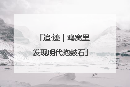追·迹｜鸡窝里发现明代抱鼓石