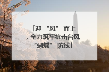 迎 “风” 而上，全力筑牢抗击台风 “蝴蝶” 防线