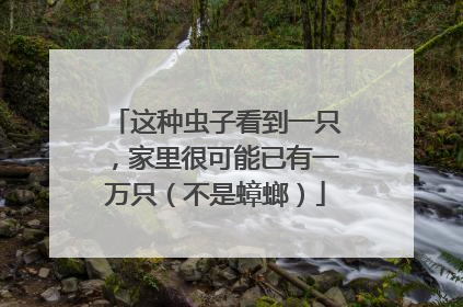 这种虫子看到一只，家里很可能已有一万只（不是蟑螂）