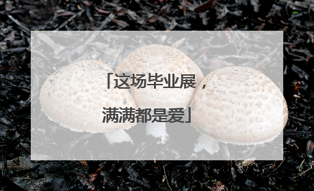 这场毕业展，满满都是爱