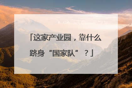 这家产业园，靠什么跻身“国家队”？