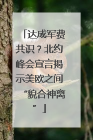 达成军费共识？北约峰会宣言揭示美欧之间“貌合神离”