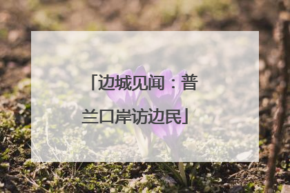 边城见闻：普兰口岸访边民