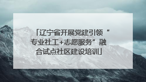 辽宁省开展党建引领“专业社工+志愿服务”融合试点社区建设培训