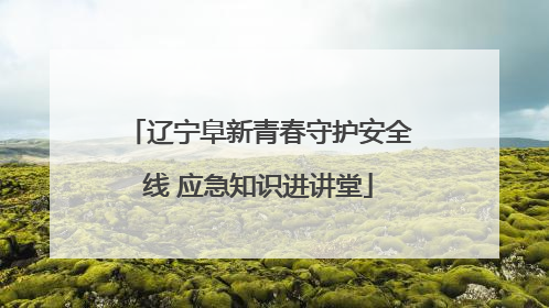 辽宁阜新青春守护安全线 应急知识进讲堂