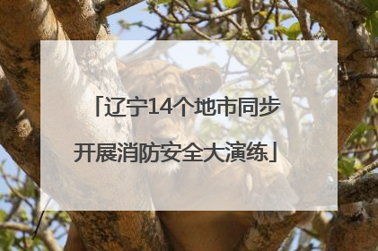 辽宁14个地市同步开展消防安全大演练