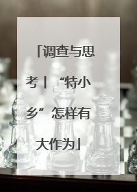 调查与思考丨“特小乡”怎样有大作为