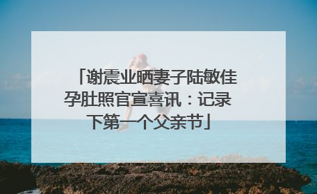 谢震业晒妻子陆敏佳孕肚照官宣喜讯：记录下第一个父亲节