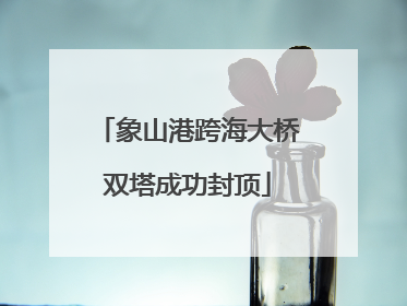 象山港跨海大桥双塔成功封顶