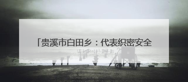 贵溪市白田乡：代表织密安全网，守牢假期安全关（图）