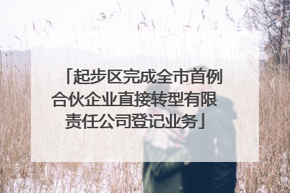 起步区完成全市首例合伙企业直接转型有限责任公司登记业务