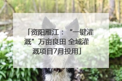 资阳雁江：“一键灌溉”万亩良田 全域灌溉项目7月投用