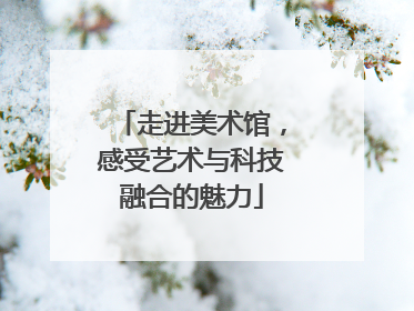 走进美术馆，感受艺术与科技融合的魅力
