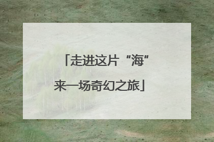 走进这片“海”来一场奇幻之旅