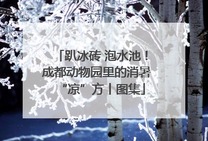 趴冰砖 泡水池！成都动物园里的消暑“凉”方丨图集
