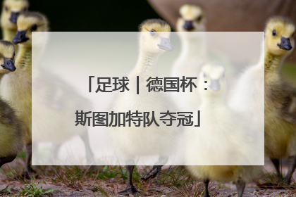 足球｜德国杯：斯图加特队夺冠