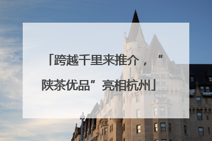 跨越千里来推介，“陕茶优品”亮相杭州