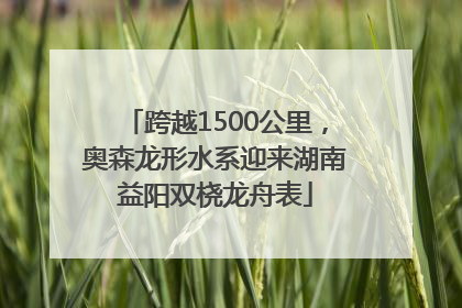 跨越1500公里，奥森龙形水系迎来湖南益阳双桡龙舟表