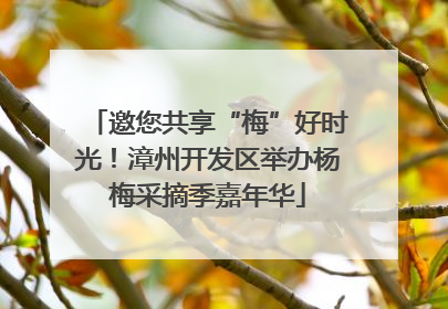邀您共享“梅”好时光！漳州开发区举办杨梅采摘季嘉年华