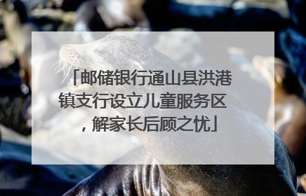 邮储银行通山县洪港镇支行设立儿童服务区，解家长后顾之忧