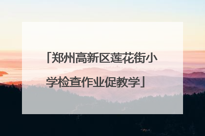 郑州高新区莲花街小学检查作业促教学
