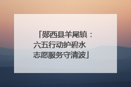 郧西县羊尾镇：六五行动护碧水 志愿服务守清波