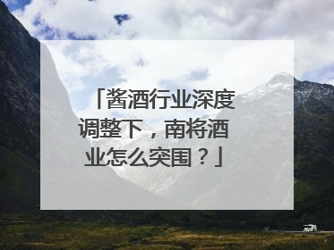 酱酒行业深度调整下，南将酒业怎么突围？