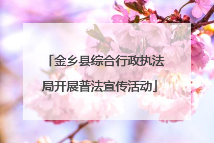 金乡县综合行政执法局开展普法宣传活动