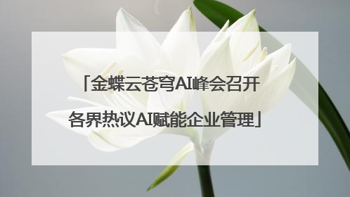 金蝶云苍穹AI峰会召开 各界热议AI赋能企业管理