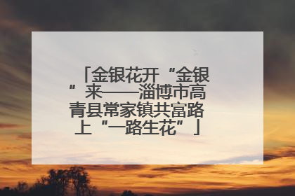 金银花开“金银”来——淄博市高青县常家镇共富路上“一路生花”