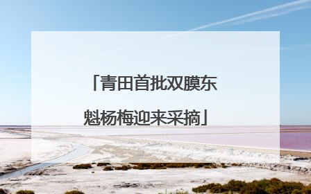 青田首批双膜东魁杨梅迎来采摘