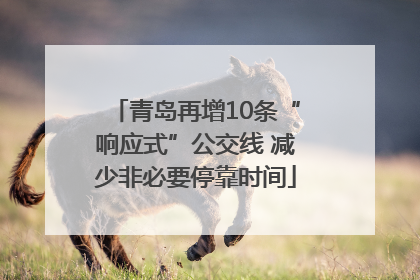 青岛再增10条“响应式”公交线 减少非必要停靠时间