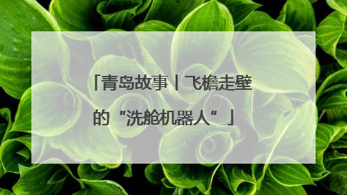 青岛故事丨飞檐走壁的“洗舱机器人”